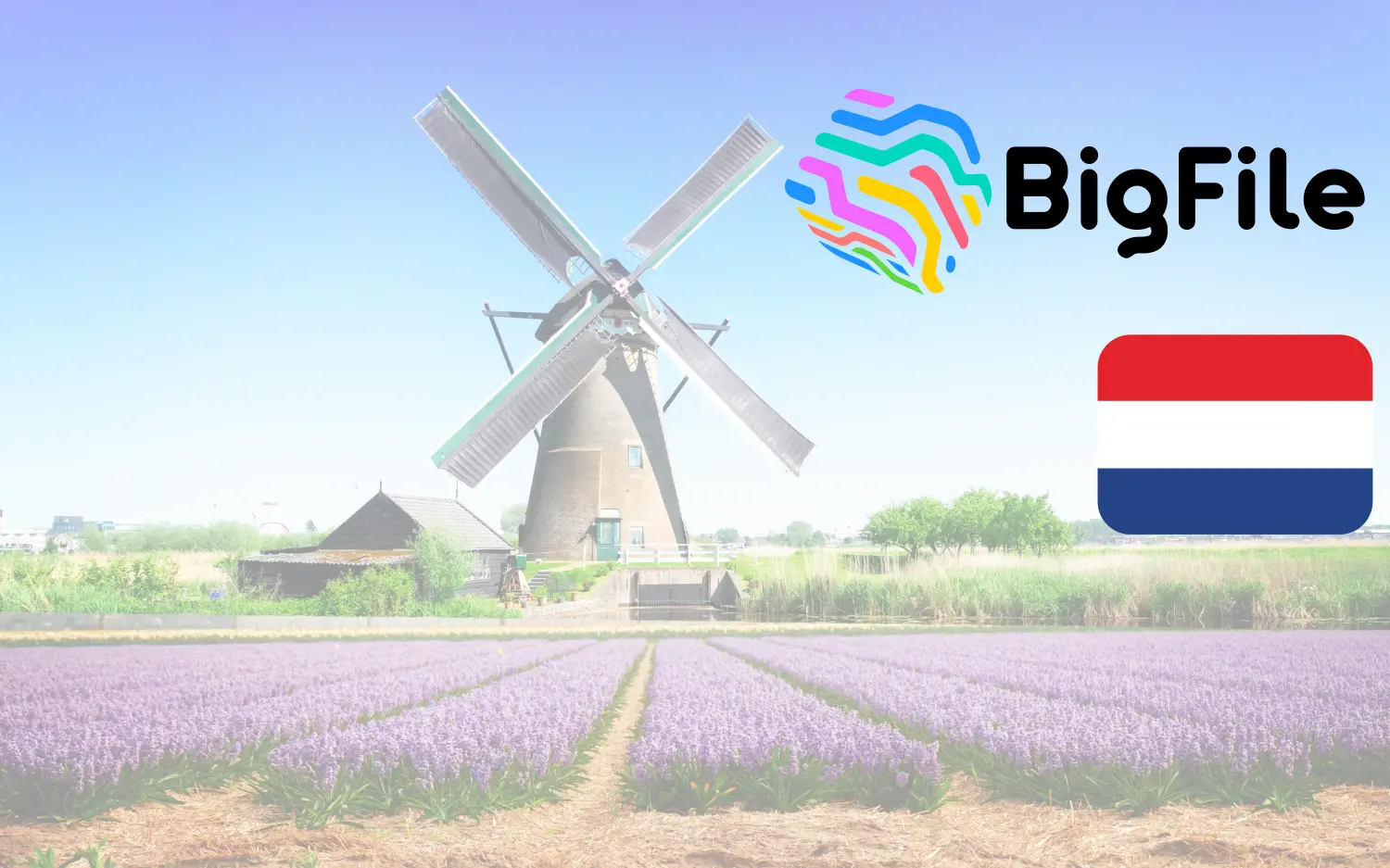 BigFile Dutch